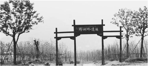 跨湖橋的前世今生——云課堂蕭蕭講地名與遺址保護